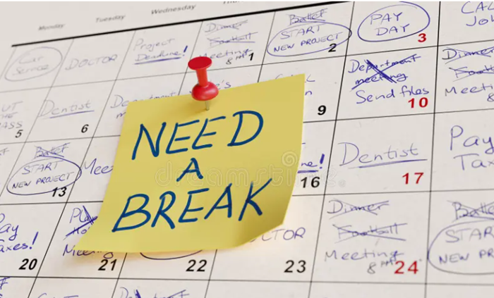 gestion de l'agenda et emploi du temps